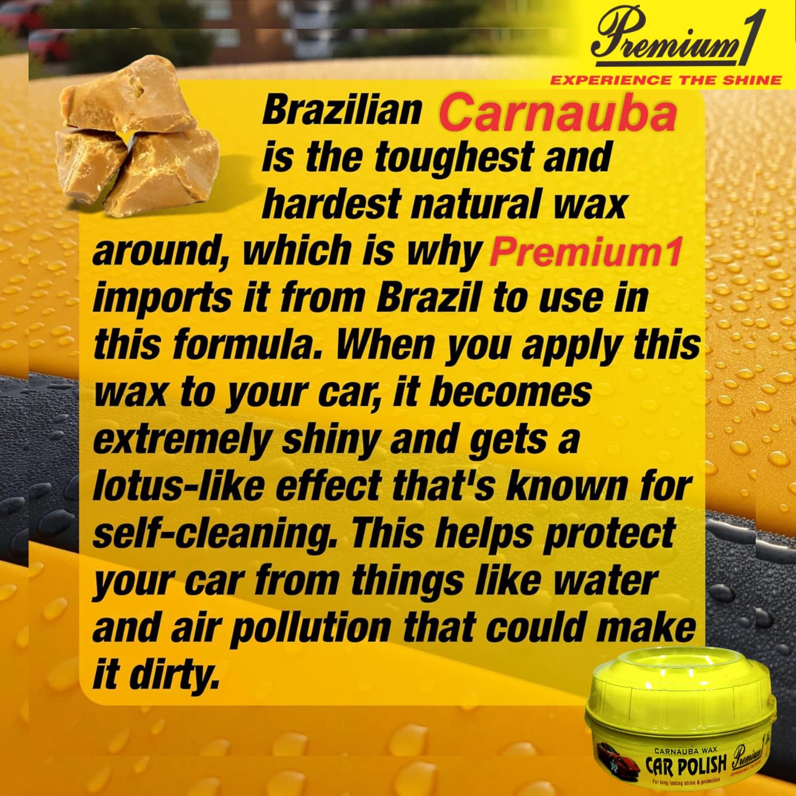 Carnauba Wax Car Polish 3